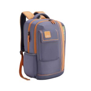 american tourister sest 3.0 style 02 | 30l backpack | school bag | 3 compartments | school & college backpack for girls and boys |